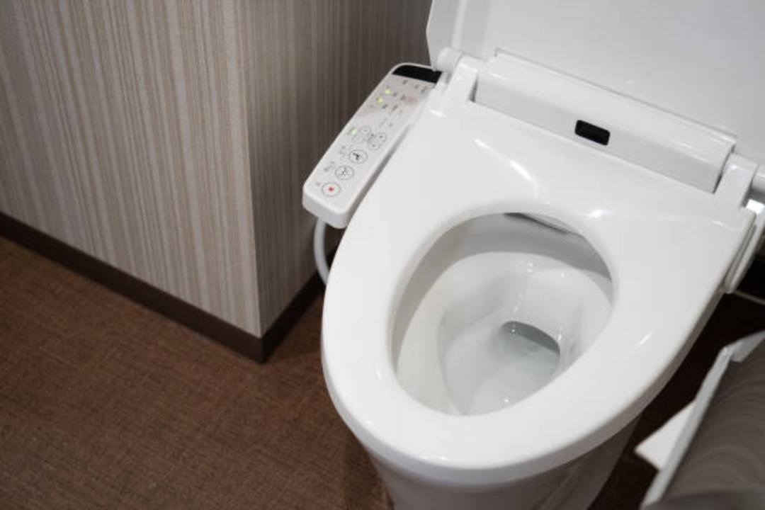 Toilet Seat Bidet