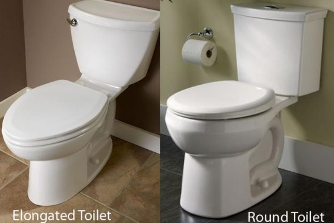 Round and Elongated Toilet