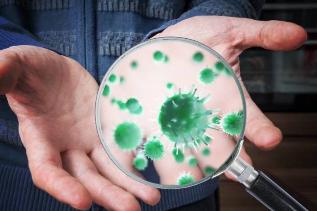 Can bidets spread bacteria 