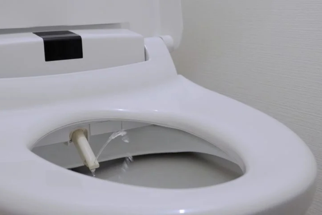 toilet seat