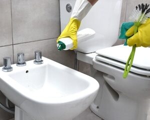 How to Troubleshoot Common Faucet Bidet Problems